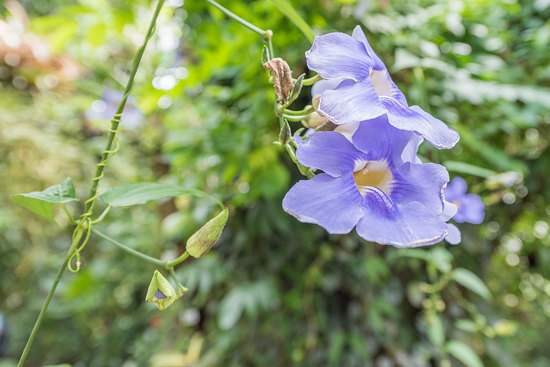 Botanischer Garten Tubingen Fotos Botanischer Garten